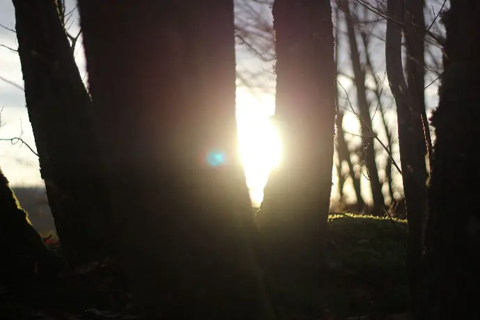 Soleil crépusculaire entre les a